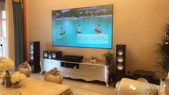 客厅影院式电视,客厅影院式电视选购指南