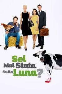 杀手转生星尘影院,星尘影院见证传奇归来