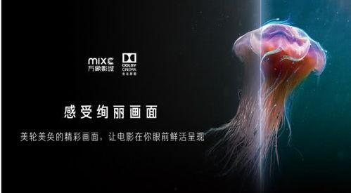 起舞影院 迷情,一场跨越时空的浪漫邂逅